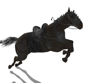 精品动物模型  马 (5)